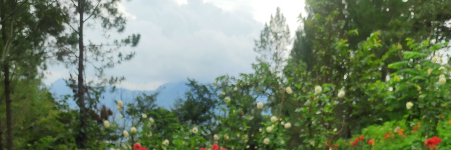 Bustamam87's profile banner image
