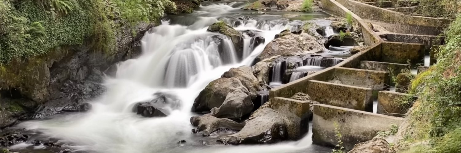 Lori Henrickson banner