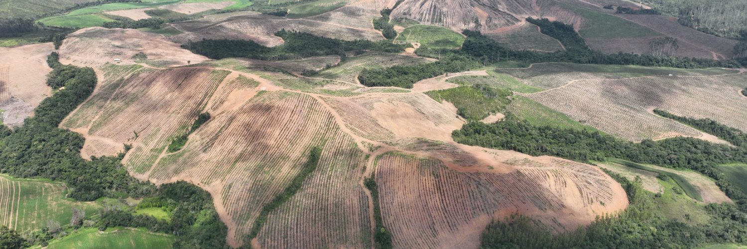 Meteoric Resources banner