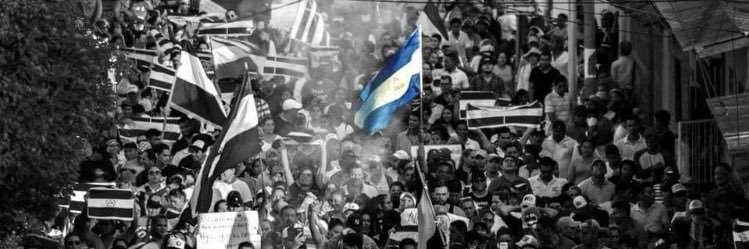 LikeABrunette's profile banner image