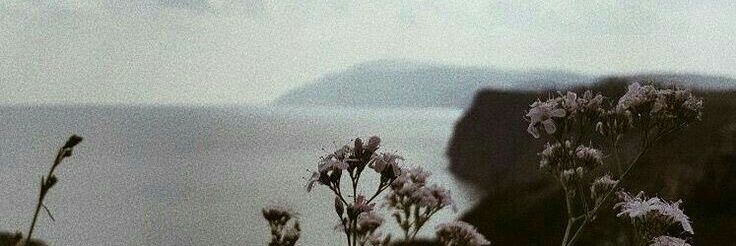 post banner