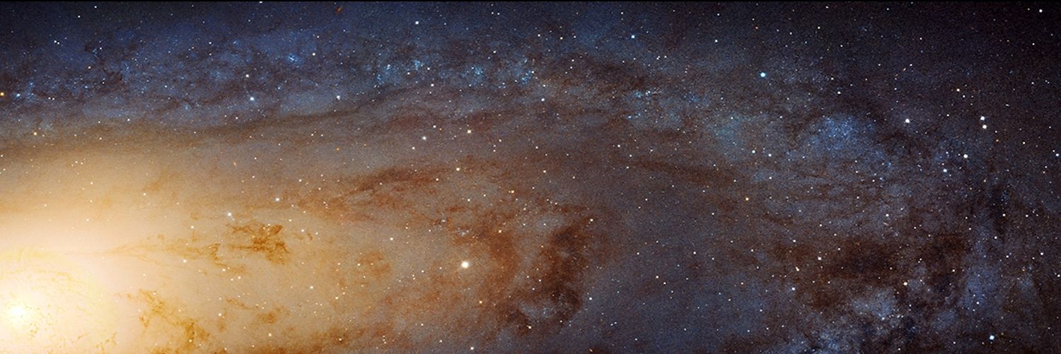 alvinejulia's profile banner image