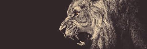 bahazaloglu's profile banner image