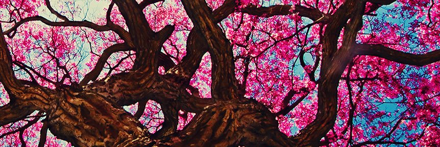 CTina_Lynn's profile banner image