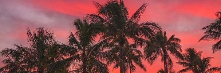ssaracuevas's profile banner image