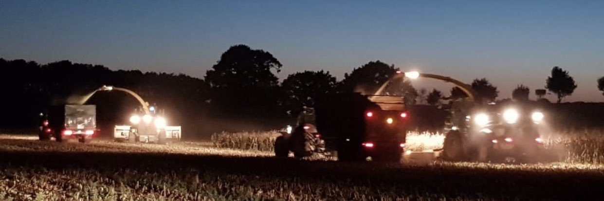Mann Farms banner