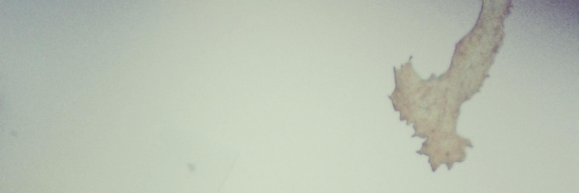 ClaudioSemenza's profile banner image