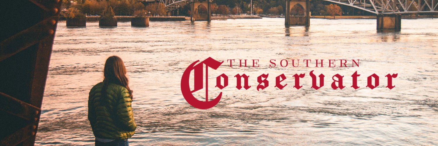TSConservator's profile banner image