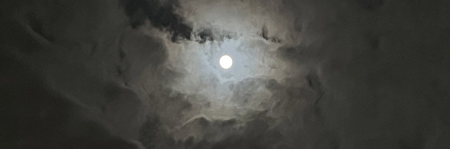 wayne_tsuki's profile banner image