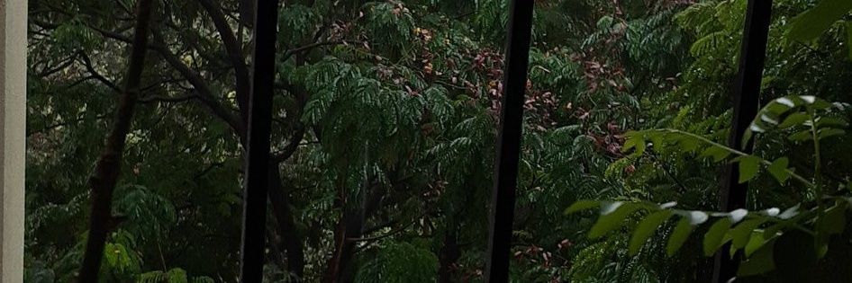 fay banner