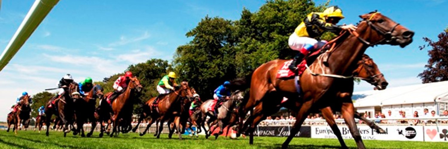 tipsbytipsters's profile banner image