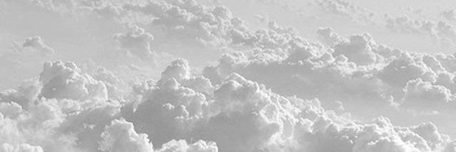 すけのすけ banner