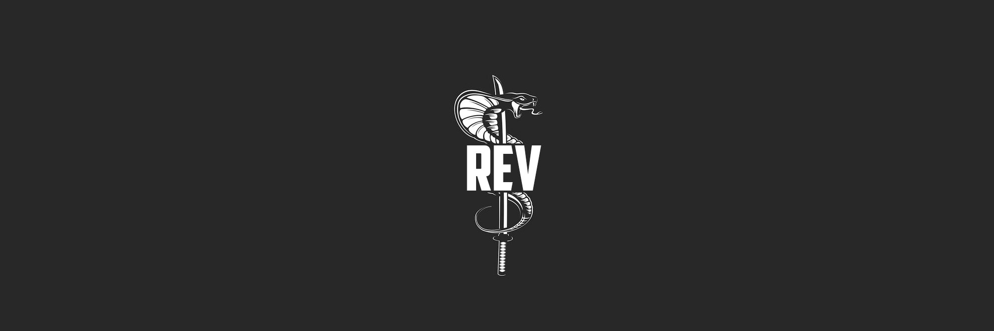 Team_ReV_Gaming's profile banner image