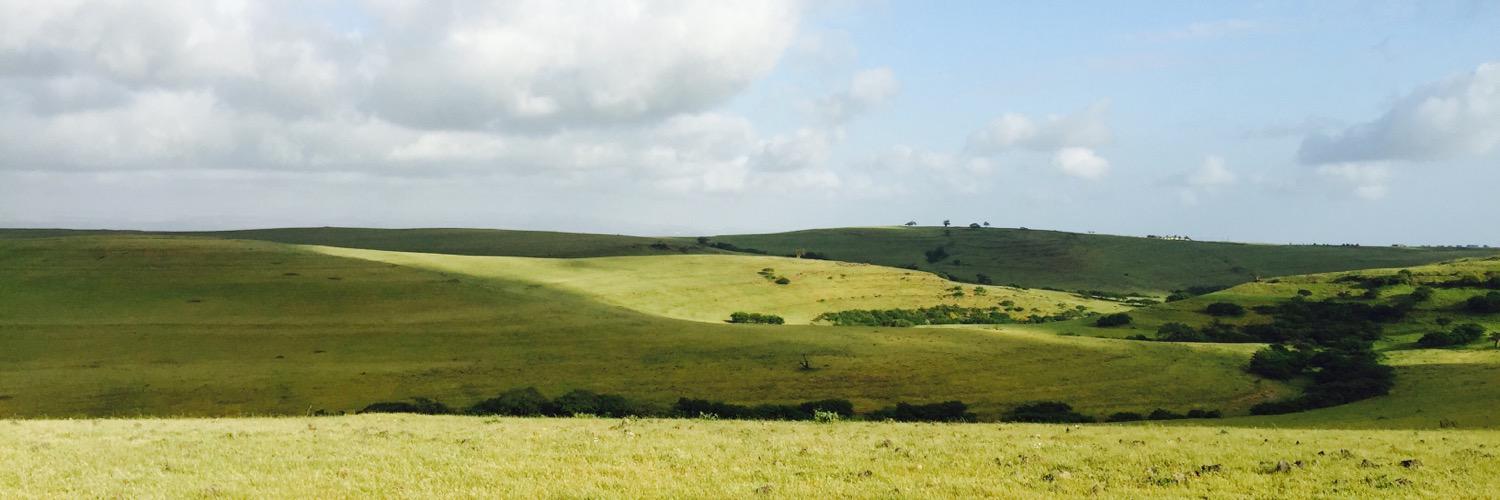 AlshiKsaad's profile banner image