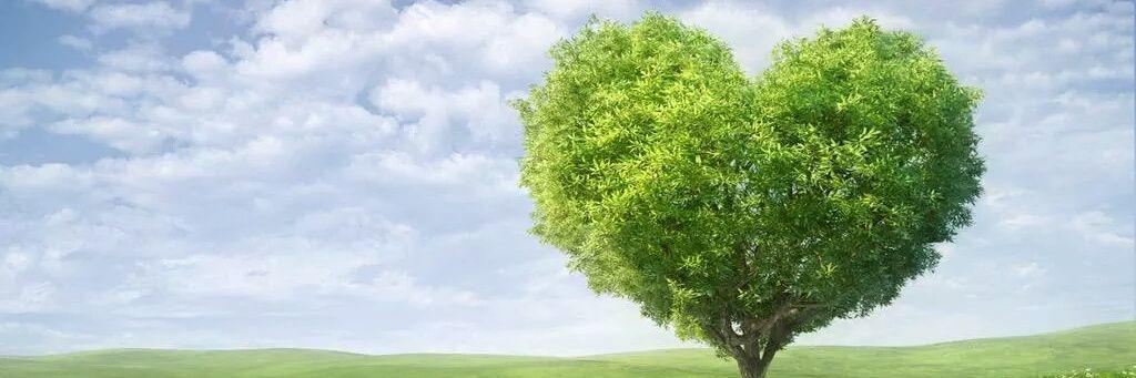 alwafa24's profile banner image