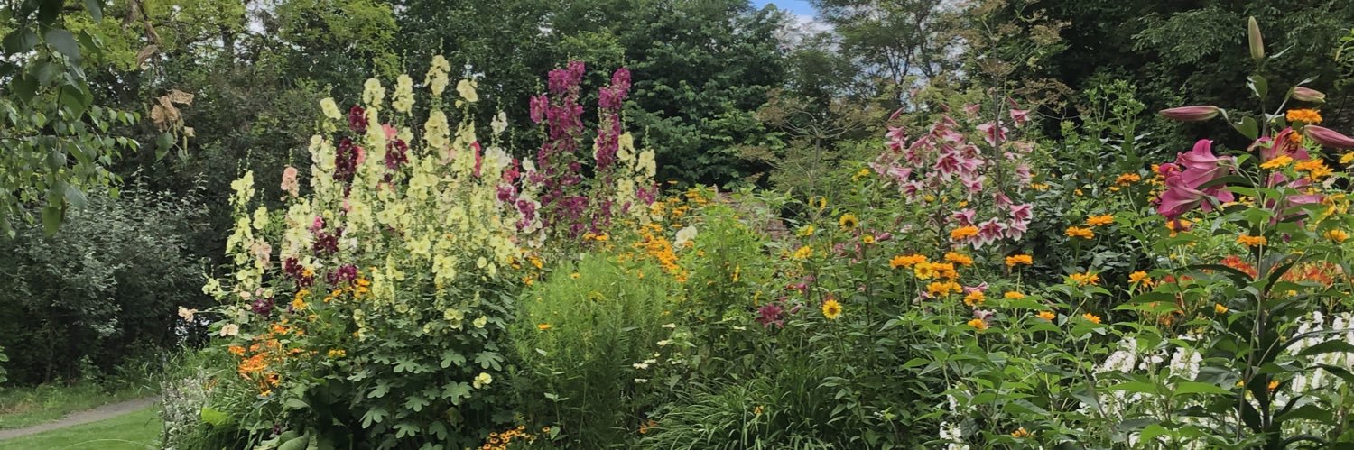 ごろにゃん banner