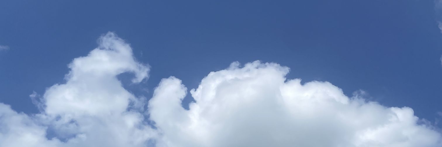 WICK2D🇰🇷 banner