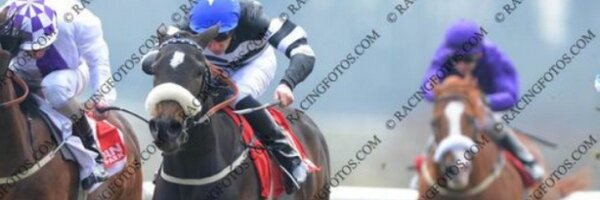samjock22 Profile Banner