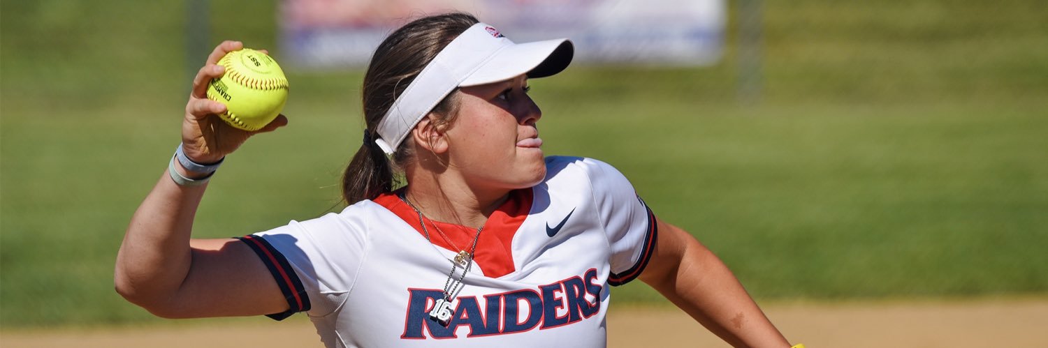 emilee sullivan banner