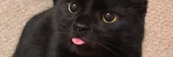 ชวً banner