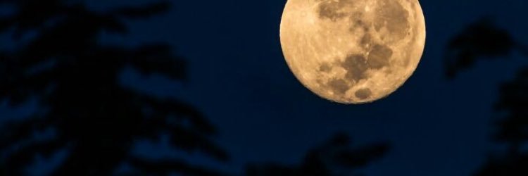 fas521's profile banner image