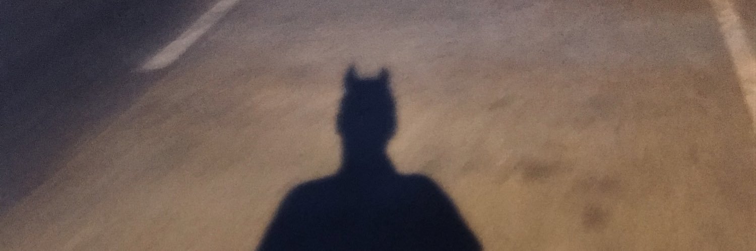 dnlclaro's profile banner image