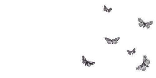 kussslindsay's profile banner image
