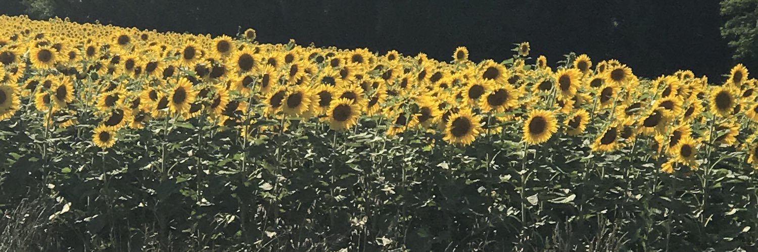 AFreakingBreak's profile banner image