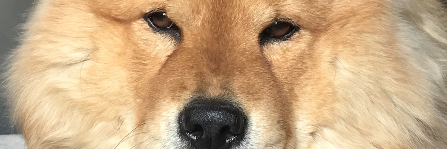 JuliOliva15's profile banner image