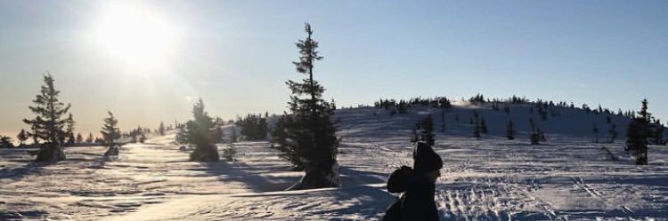 Guffy_Johnson's profile banner image