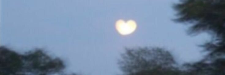 inesita🍵 saw piwon banner