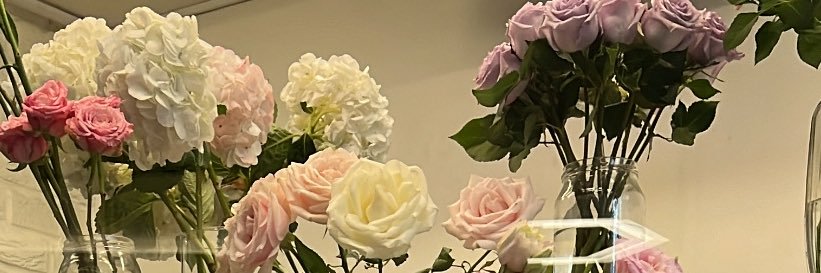 yelis banner