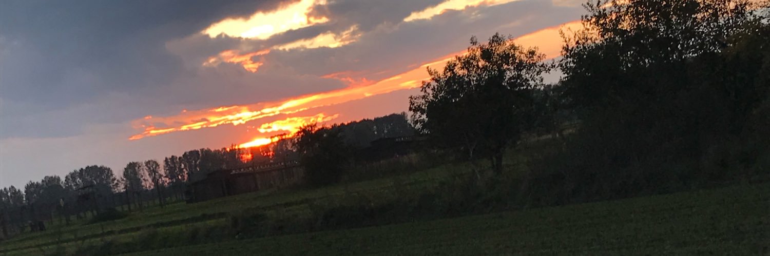 Jan Martens  banner