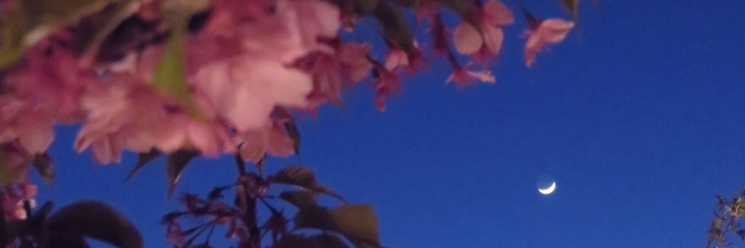 2kikas's profile banner image