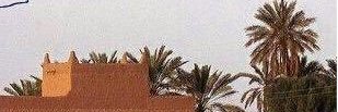 lltf00000's profile banner image