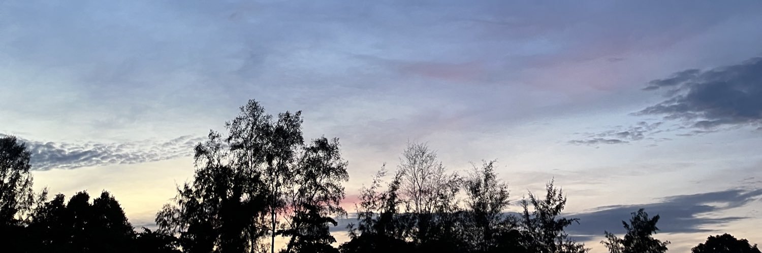 thealyphfarhan's profile banner image