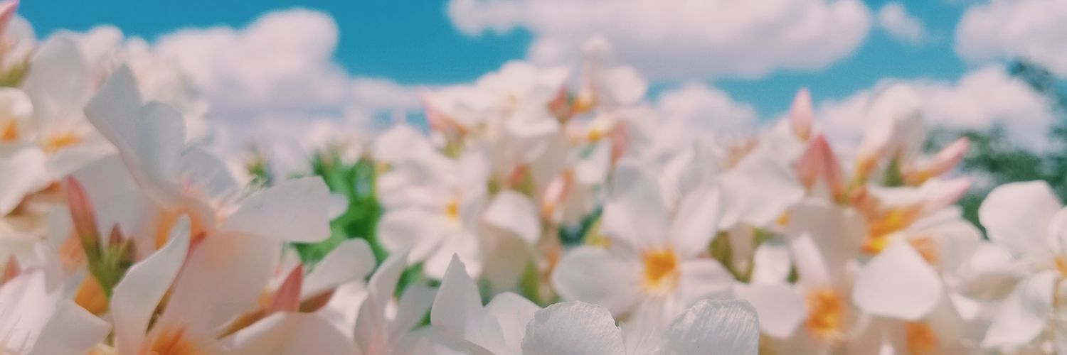 AlejandroBM2299's profile banner image