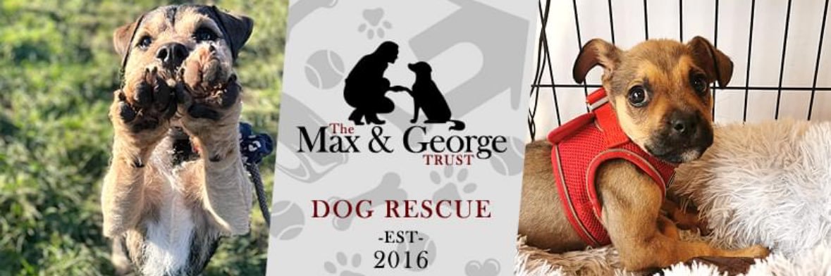 maxgeorgetrust's profile banner image