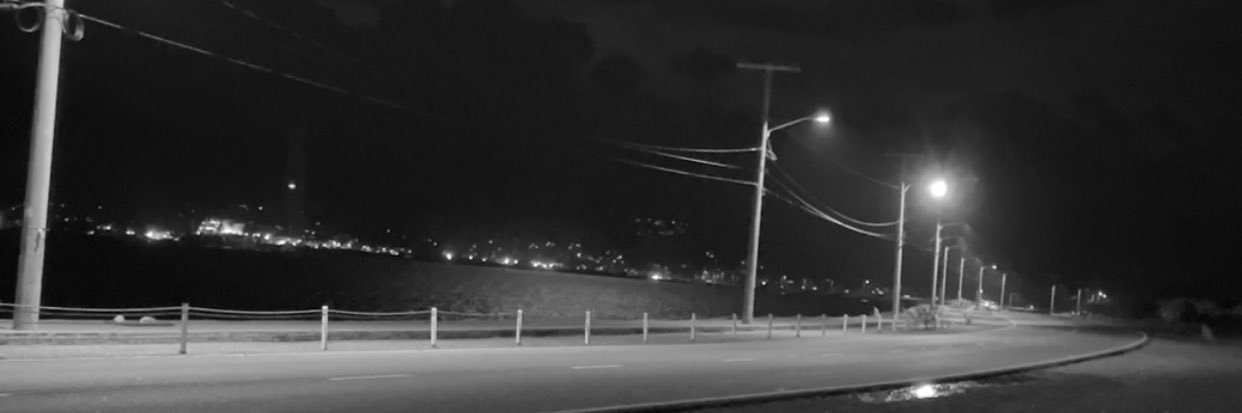 ShamButterflies's profile banner image
