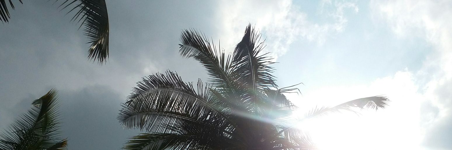 athreyabende's profile banner image