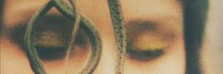 scottdavison_'s profile banner image