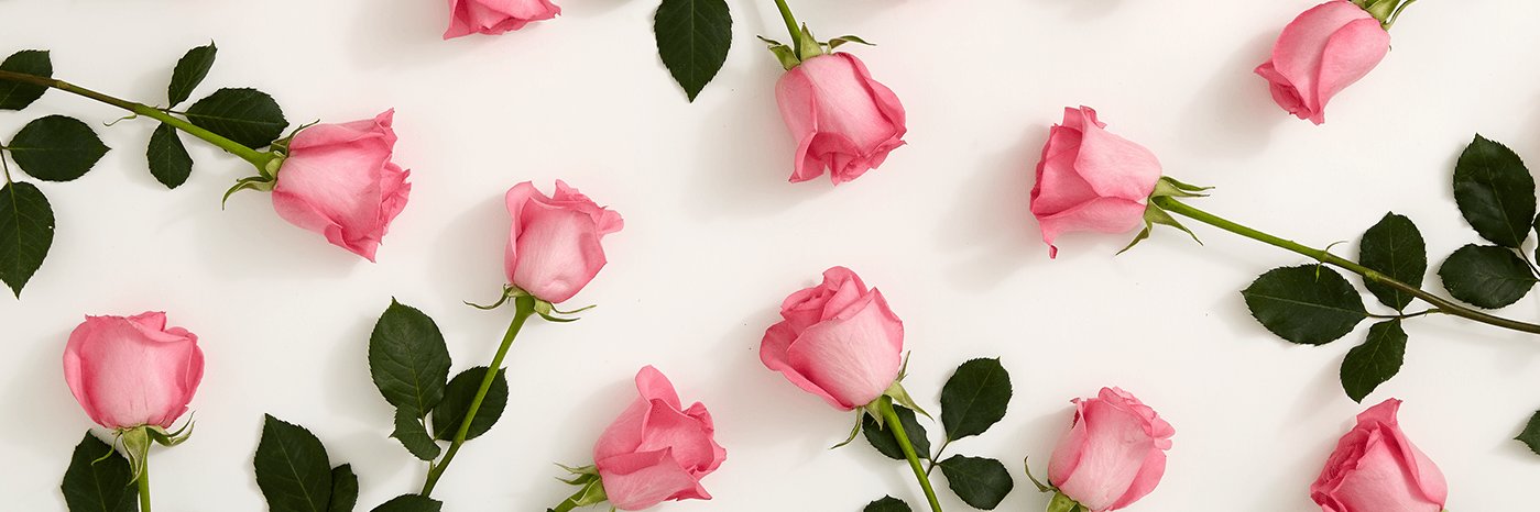 kacyloo's profile banner image