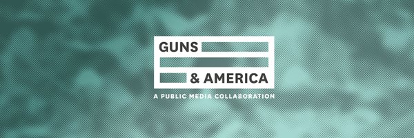 GunsReporting Profile Banner