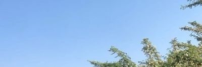 ابو محمد banner