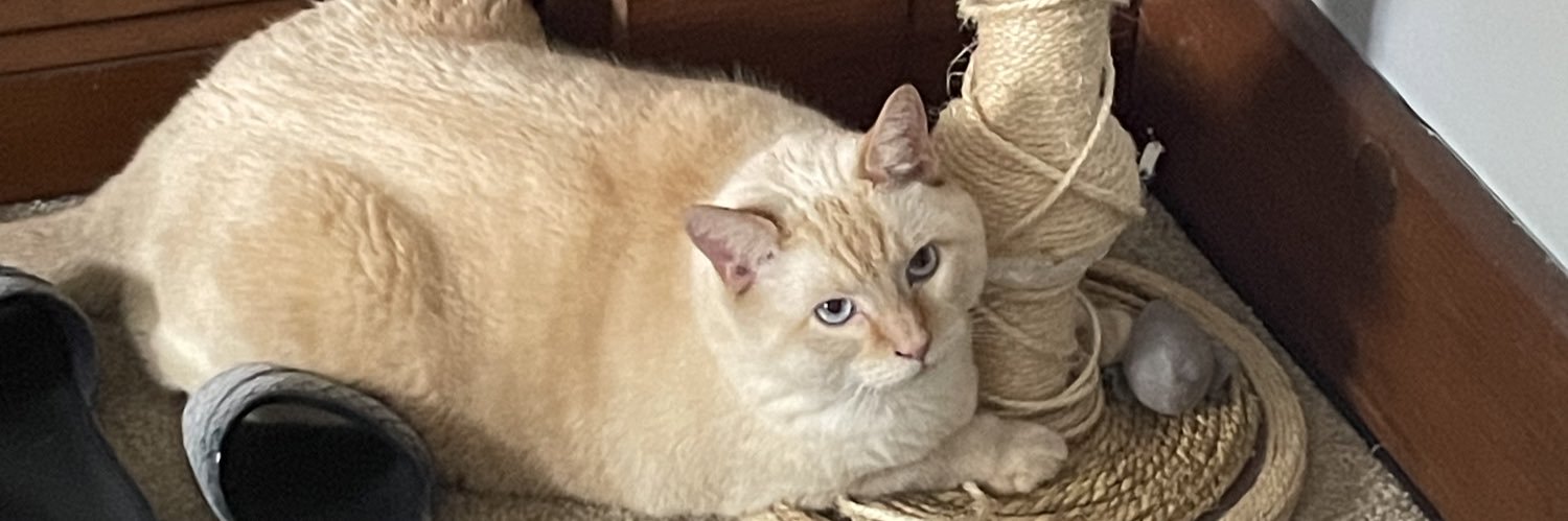 PoschLogan's profile banner image
