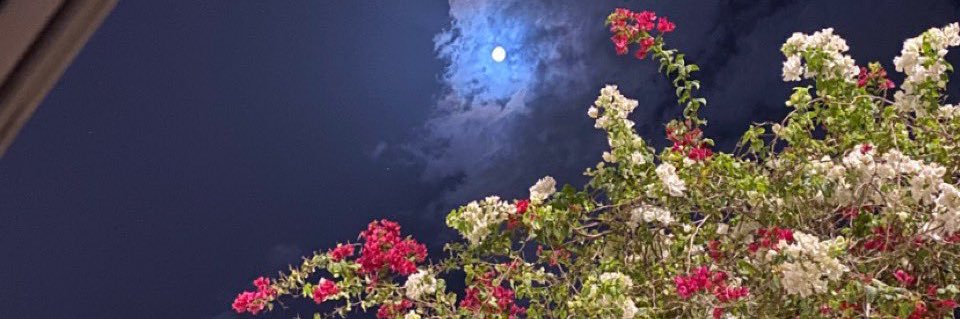 Al_AreeJA's profile banner image