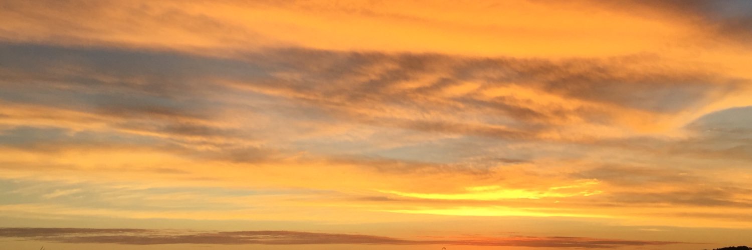 javoureta's profile banner image