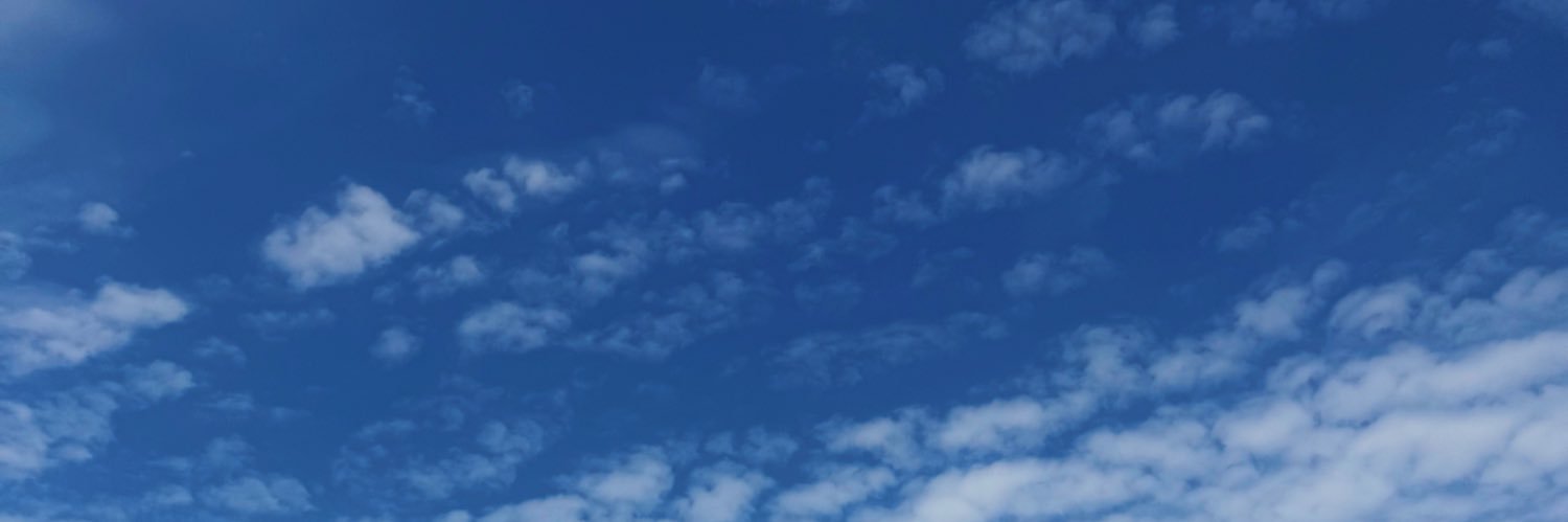 RL banner