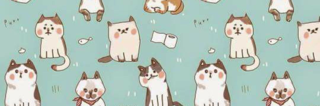 veenaoverload's profile banner image