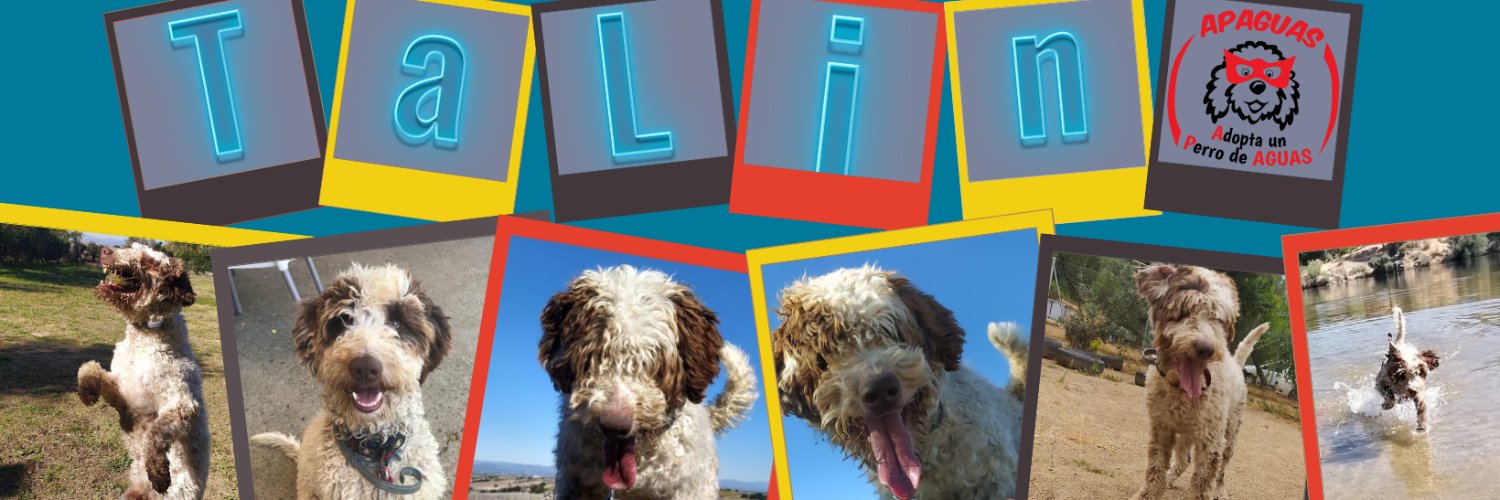 ApaguasLemon's profile banner image